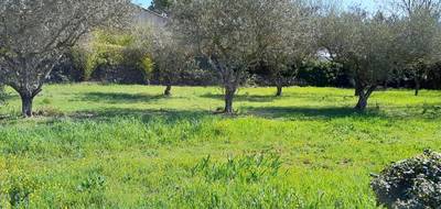 Terrain seul à Brignoles en Var (83) de 650 m² à vendre au prix de 145000€ - 1