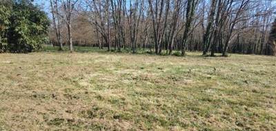 Terrain seul à Gamarde-les-Bains en Landes (40) de 2000 m² à vendre au prix de 140000€ - 1