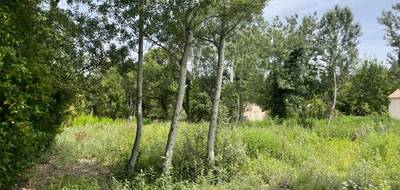 Terrain seul à Eyguières en Bouches-du-Rhône (13) de 601 m² à vendre au prix de 229000€ - 3