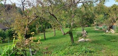 Programme terrain + maison à La Grande-Paroisse en Seine-et-Marne (77) de 90 m² à vendre au prix de 248600€ - 3
