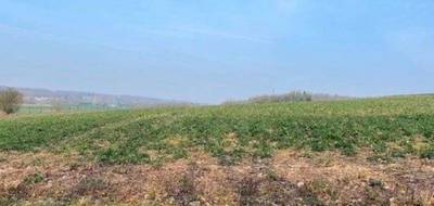 Terrain seul à Avesnes-les-Aubert en Nord (59) de 1000 m² à vendre au prix de 40000€ - 1