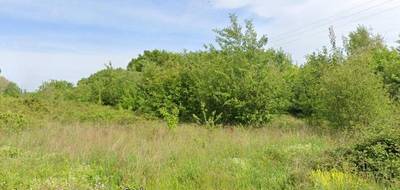 Programme terrain + maison à Saint-Médard-de-Mussidan en Dordogne (24) de 81 m² à vendre au prix de 215231€ - 3