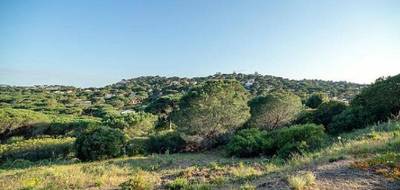 Terrain seul à Sainte-Maxime en Var (83) de 2200 m² à vendre au prix de 1220000€ - 2