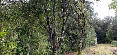 Terrain seul à Saint-Georges-d'Oléron en Charente-Maritime (17) de 817 m² à vendre au prix de 196800€ - 1