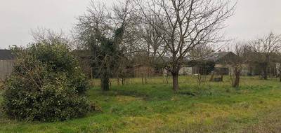 Programme terrain + maison à Longué-Jumelles en Maine-et-Loire (49) de 89 m² à vendre au prix de 230037€ - 3
