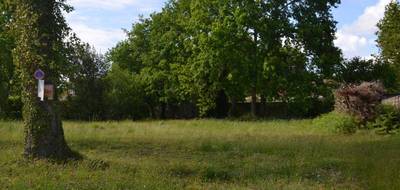 Terrain seul à Audenge en Gironde (33) de 675 m² à vendre au prix de 240000€ - 2