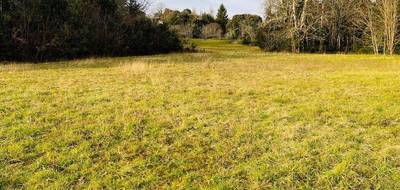 Terrain seul à Vitrac en Dordogne (24) de 2561 m² à vendre au prix de 79000€ - 1
