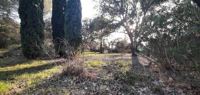 Terrain seul à Vidauban en Var (83) de 600 m² à vendre au prix de 149000€ - 2