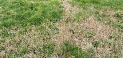 Terrain seul à Neuilly-en-Sancerre en Cher (18) de 1500 m² à vendre au prix de 30000€ - 1