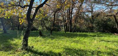 Programme terrain + maison à La Valette-du-Var en Var (83) de 130 m² à vendre au prix de 660000€ - 3