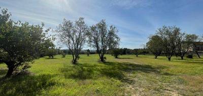 Terrain seul à Saint-Quentin-la-Poterie en Gard (30) de 312 m² à vendre au prix de 92000€ - 3
