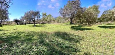 Terrain seul à Bagnols-en-Forêt en Var (83) de 2074 m² à vendre au prix de 250000€ - 4
