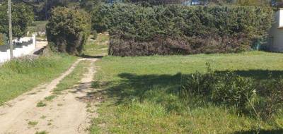 Terrain seul à Fontvieille en Bouches-du-Rhône (13) de 470 m² à vendre au prix de 165000€ - 4
