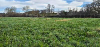 Terrain seul à Moustier en Lot-et-Garonne (47) de 3298 m² à vendre au prix de 46000€ - 1
