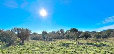 Programme terrain + maison à Bagnols-en-Forêt en Var (83) de 122 m² à vendre au prix de 523000€ - 4