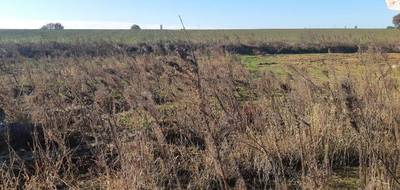 Programme terrain + maison à Seilh en Haute-Garonne (31) de 186 m² à vendre au prix de 494000€ - 4
