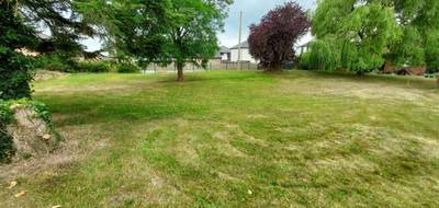 Terrain seul à Neuville-Saint-Vaast en Pas-de-Calais (62) de 757 m² à vendre au prix de 86000€ - 2