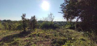 Terrain seul à Orgnac-l'Aven en Ardèche (07) de 2878 m² à vendre au prix de 76000€ - 1