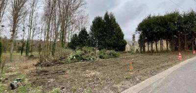 Programme terrain + maison à Berville en Val-d'Oise (95) de 95 m² à vendre au prix de 301000€ - 3