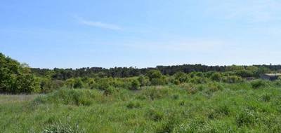 Programme terrain + maison à Galargues en Hérault (34) de 100 m² à vendre au prix de 390000€ - 4