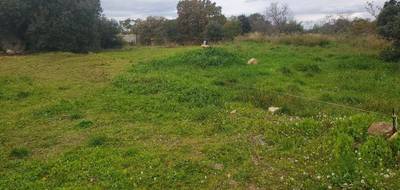 Terrain seul à Pézenas en Hérault (34) de 1450 m² à vendre au prix de 169500€ - 2
