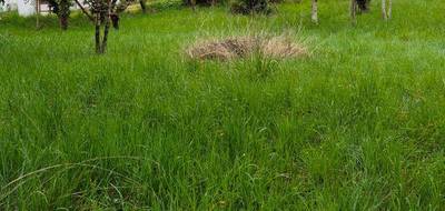Terrain seul à Castelmoron-sur-Lot en Lot-et-Garonne (47) de 1019 m² à vendre au prix de 35000€ - 2