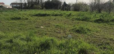 Terrain seul à Chambon en Charente-Maritime (17) de 800 m² à vendre au prix de 40000€ - 2