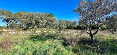 Programme terrain + maison à Bagnols-en-Forêt en Var (83) de 74 m² à vendre au prix de 375000€ - 4