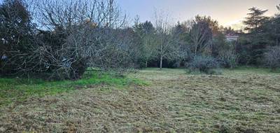 Terrain seul à Muret en Haute-Garonne (31) de 532 m² à vendre au prix de 130000€ - 2