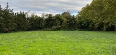 Terrain seul à Condorcet en Drôme (26) de 503 m² à vendre au prix de 67000€ - 1