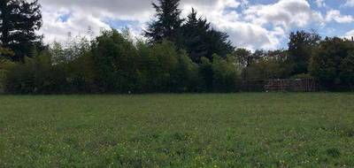 Programme terrain + maison à Saint-Paterne-Racan en Indre-et-Loire (37) de 99 m² à vendre au prix de 242609€ - 3