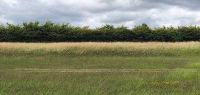 Programme terrain + maison à Artannes-sur-Indre en Indre-et-Loire (37) de 145 m² à vendre au prix de 394165€ - 3
