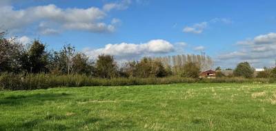 Programme terrain + maison à Bruille-lez-Marchiennes en Nord (59) de 115 m² à vendre au prix de 237000€ - 3