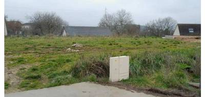 Programme terrain + maison à Tourville-la-Rivière en Seine-Maritime (76) de 115 m² à vendre au prix de 297024€ - 4
