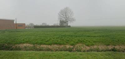 Programme terrain + maison à Illies en Nord (59) de 130 m² à vendre au prix de 374000€ - 4