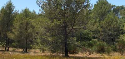 Programme terrain + maison à Brignoles en Var (83) de 100 m² à vendre au prix de 285000€ - 4