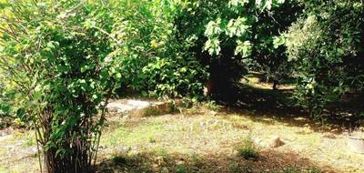 Terrain seul à Carnoules en Var (83) de 250 m² à vendre au prix de 89000€ - 1