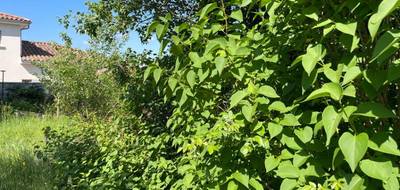 Terrain seul à Chasse-sur-Rhône en Isère (38) de 600 m² à vendre au prix de 209000€ - 2