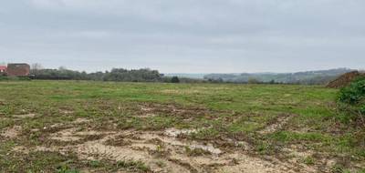 Programme terrain + maison à Saint-Martin-Boulogne en Pas-de-Calais (62) de 125 m² à vendre au prix de 308202€ - 3