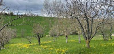 Programme terrain + maison à Le Cabanial en Haute-Garonne (31) de 95 m² à vendre au prix de 198579€ - 4