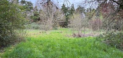 Terrain seul à Labastide-Beauvoir en Haute-Garonne (31) de 970 m² à vendre au prix de 135000€ - 3