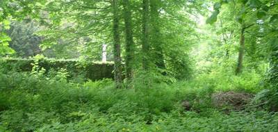 Programme terrain + maison à Arbonne-la-Forêt en Seine-et-Marne (77) de 124 m² à vendre au prix de 399000€ - 3