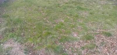 Terrain seul à Ychoux en Landes (40) de 750 m² à vendre au prix de 95000€ - 4