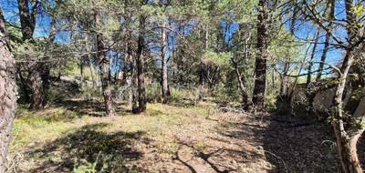 Terrain seul à Régusse en Var (83) de 1148 m² à vendre au prix de 93500€ - 2