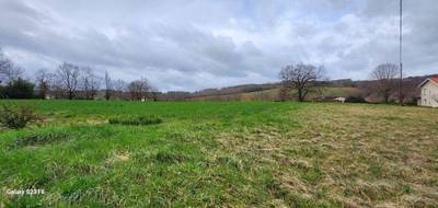 Terrain seul à Cadalen en Tarn (81) de 646 m² à vendre au prix de 58000€ - 1