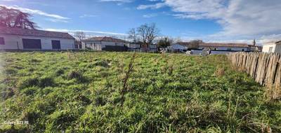 Programme terrain + maison à Florentin en Tarn (81) de 120 m² à vendre au prix de 314407€ - 4
