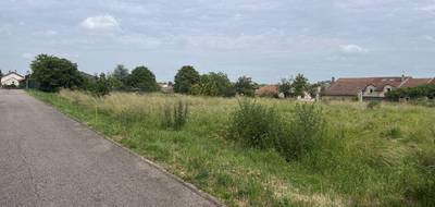 Programme terrain + maison à Retonfey en Moselle (57) de 120 m² à vendre au prix de 479000€ - 4