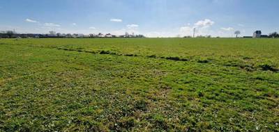 Programme terrain + maison à Beuzeville-la-Grenier en Seine-Maritime (76) de 86 m² à vendre au prix de 223000€ - 4