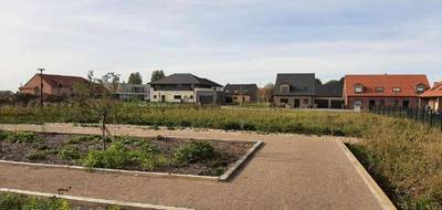 Programme terrain + maison à Nomain en Nord (59) de 125 m² à vendre au prix de 392000€ - 4