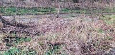 Programme terrain + maison à Grez-sur-Loing en Seine-et-Marne (77) de 90 m² à vendre au prix de 298000€ - 3